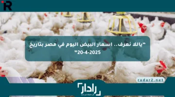“ياللا نعرف.. أسعار البيض اليوم في مصر بتاريخ 20-4-2025”